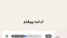 اولین پیام صوتی پژمان جمشیدی پس از رسیدن به کانادا؛ هیچ دفاعی از خود ندارم!  + فیلم