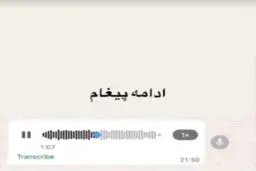 اولین پیام صوتی پژمان جمشیدی پس از رسیدن به کانادا؛ هیچ دفاعی از خود ندارم!  + فیلم