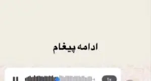 اولین پیام صوتی پژمان جمشیدی پس از رسیدن به کانادا؛ هیچ دفاعی از خود ندارم!  + فیلم