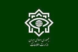 اطلاعیه‌ شماره ۲ وزارت اطلاعات درباره فاجعه‌ تروریستی کرمان/ بازداشت ۳۵ نفر از عوامل پشتیبانی تروریست‌ها

