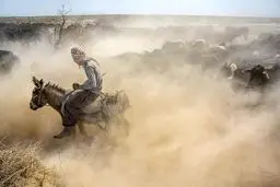 خشکسالی بحران سیستان و بلوچستان/ موقعیت امروز سیستان خشکسالی است