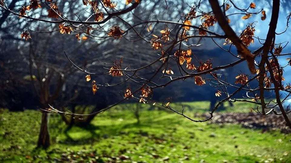 پیش‌بینی هوای فارس و شیراز؛ پنج‌شنبه ۱۱ بهمن