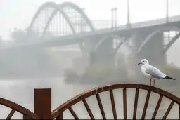 پیش بینی هوای خوزستان فردا پنجشنبه 13 آذر/ رگبار پراکنده، رعد و برق و وقوع مه در استان