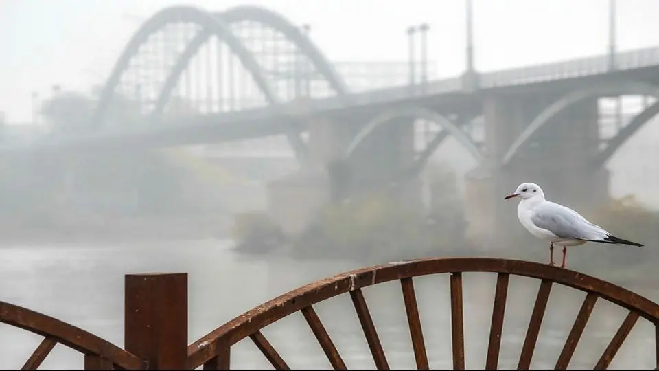 پیش بینی هوای خوزستان فردا پنجشنبه 13 آذر/ رگبار پراکنده، رعد و برق و وقوع مه در استان