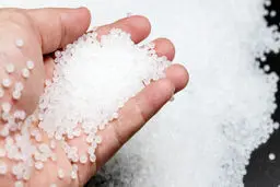 مرغ تخم طلای پتروشیمی 