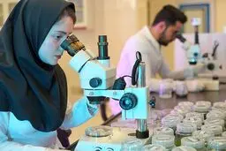سالیانه تا 10 درصد به بار انجام آزمایش های پزشکی اضافه می شود

