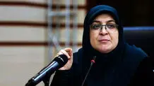 دولت درباره قانون و حجاب و عفاف ملاحظاتی دارد 