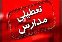 فعالیت آموزشی در برخی مناطق چهارمحال و بختیاری فردا چهارشنبه غیرحضوری شد

