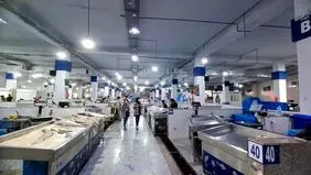 شهرداری ۳۰ کولر گازی برای بازار ماهی فروشان خرید