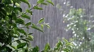 پیش بینی هوای تهران فردا سه شنبه 11 آذرماه / تهران تا چهارشنبه بارانی است