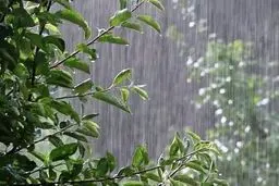 وقوع رگبار و رعد و برق و سیلاب در هشت استان/ هواشناسی هشدار داد