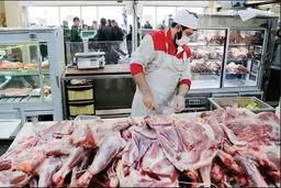 آغاز توزیع گوشت تولید داخلی با قیمت پایین‌تر     