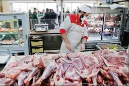 آغاز توزیع گوشت تولید داخلی با قیمت پایین‌تر     
