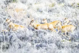 پیش به سوی اقتصادی‌کردن حفاظت