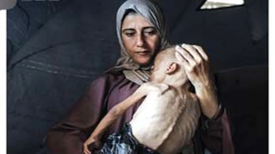 هشدار بیش از 100 نهاد بینالمللی درباره وضعیت غزه