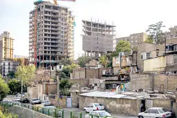 موریانه فساد