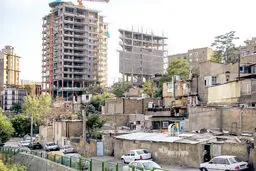 موریانه فساد