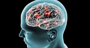 موثرترین راهکارها برای کاهش استرس بیماران مبتلا به آلزایمر در شرایط جنگی