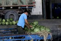 روسیه هندوانه ایرانی را پس زد