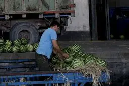 روسیه هندوانه ایرانی را پس زد