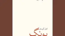 اتوبیوگرافی یونگ

