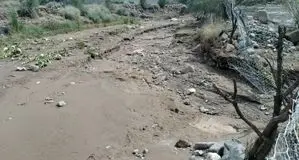 سیل در خاش؛ در خواست شهروندان از مسوولان برای جبران خسارت‌ها
