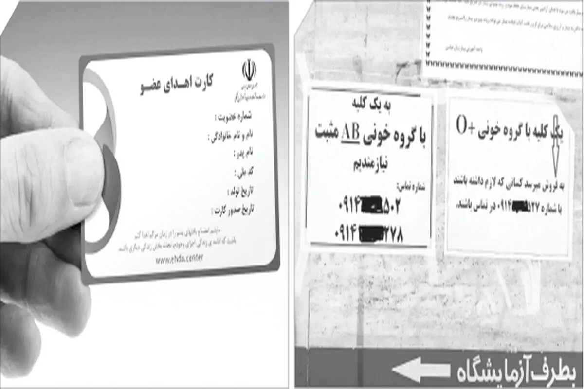 شاید روزی گیرنده یا اهداکننده عضو  بودیم