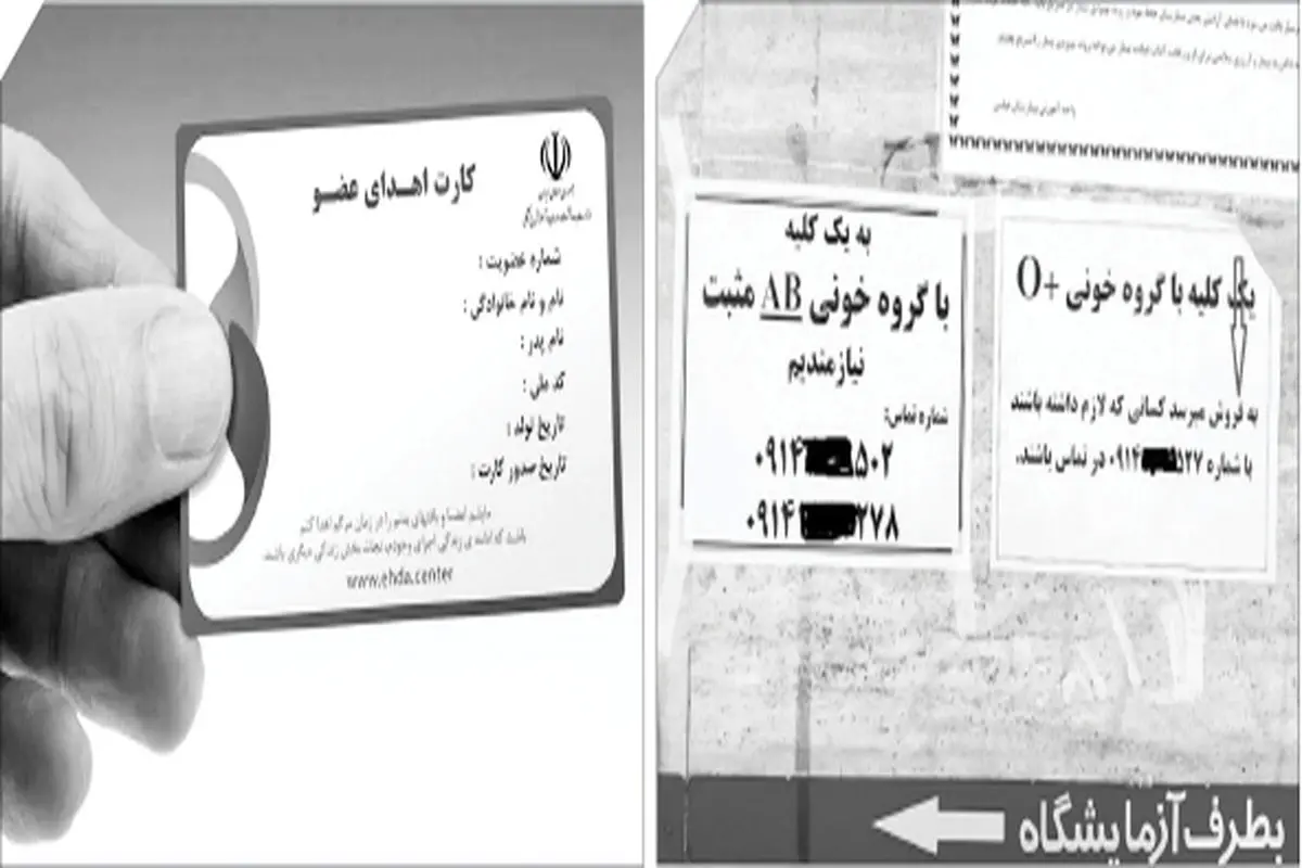 شاید روزی گیرنده یا اهداکننده عضو  بودیم