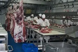  گوشت از مالیات معاف شد