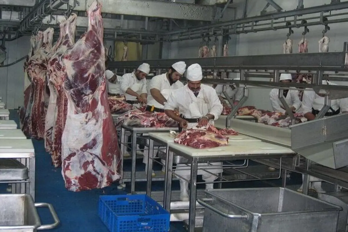  گوشت از مالیات معاف شد