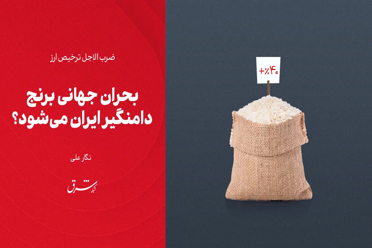 بحران جهانی برنج دامنگیر ایران می‌شود؟