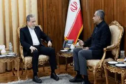 وزیر کشور پاکستان با عراقچی دیدار کرد