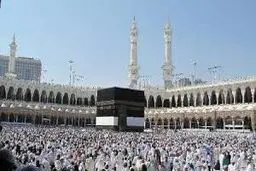 تأیید تعلیق عمره تا اطلاع ثانوی، منع حج برای زنان باردار