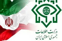 «دستگیری تعدادی از عوامل سازمان جاسوسی رژیم صهیونیستی»