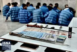 ماجرای سرقت از یک باغ توسط باند ۹ نفره
