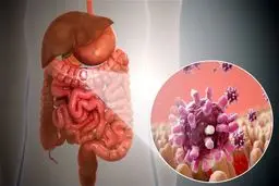 مراقب باشید!/ ویروس گوارشی خطرناک در کمین است 
