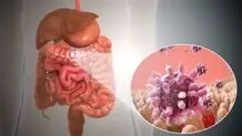 مراقب باشید!/ ویروس گوارشی خطرناک در کمین است 
