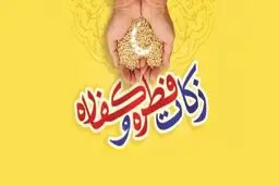 آیت‌الله سبحانی فطریه امسال را اعلام کرد