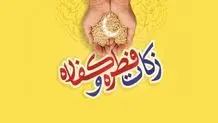 آیت‌الله سبحانی فطریه امسال را اعلام کرد