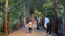 بیانیه شرکت توسعه علیه تکذیبیه وزارت ورزش