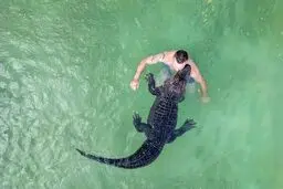 شنای  اعجاب‌برانگیز خانم مایر و اقای کریستیان  کاولیس 