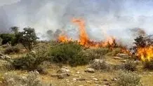 آتش‌سوزی گسترده در جنگل‌های مرزن‌آباد/ اعزام 3 بالگرد برای مهار آتش‌‌

