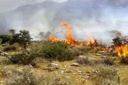 آتش‌سوزی گسترده در جنگل‌های مرزن‌آباد/ اعزام 3 بالگرد برای مهار آتش‌‌

