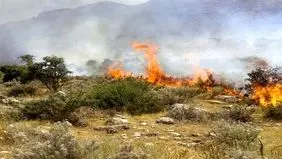 آتش‌سوزی گسترده در جنگل‌های مرزن‌آباد/ اعزام 3 بالگرد برای مهار آتش‌‌

