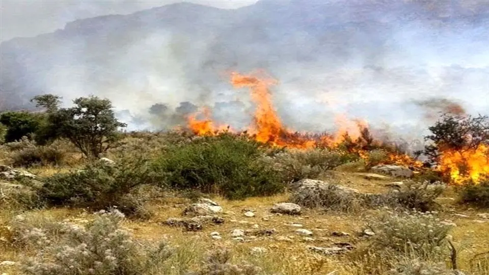 آتش‌سوزی گسترده در جنگل‌های مرزن‌آباد/ اعزام 3 بالگرد برای مهار آتش‌‌

