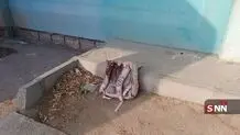 سخنگوی سنتکام: گزارش‌ها درباره حمله‌ به مدرسه‌ای در ایران را جدی می‌گیریم