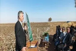 واردات پنبه در برنامه هفتم بر اساس نیاز خواهد بود


