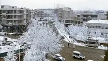کشف بیش از 8 هزار آمپول غیرمجاز در راه تهران