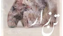 «تن‌زار» در نگارخانه نگر

