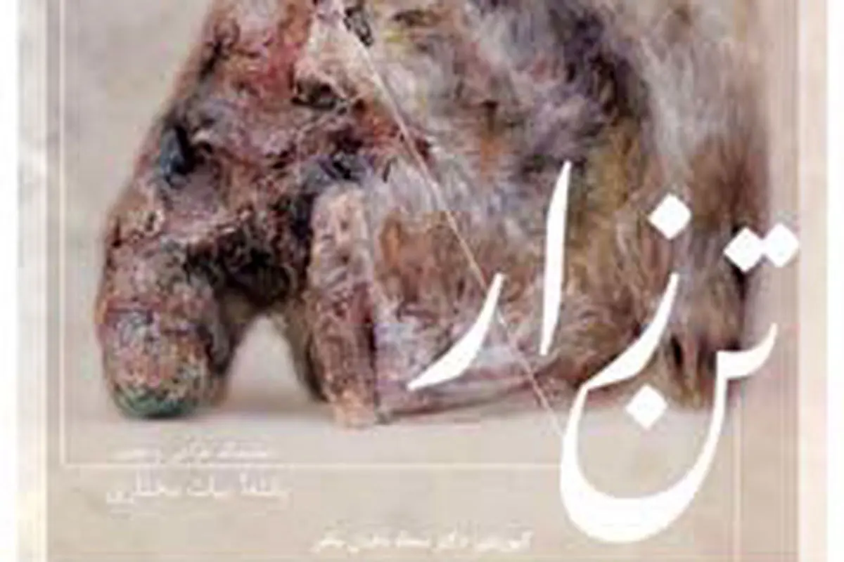 «تن‌زار» در نگارخانه نگر


